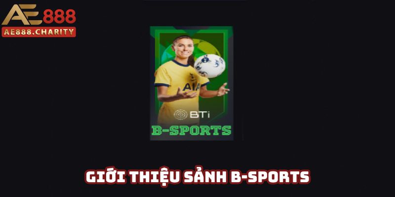 Giới thiệu về sảnh thể thao B-Sports nổi tiếng Giới thiệu về sảnh thể thao B-Sports nổi tiếng